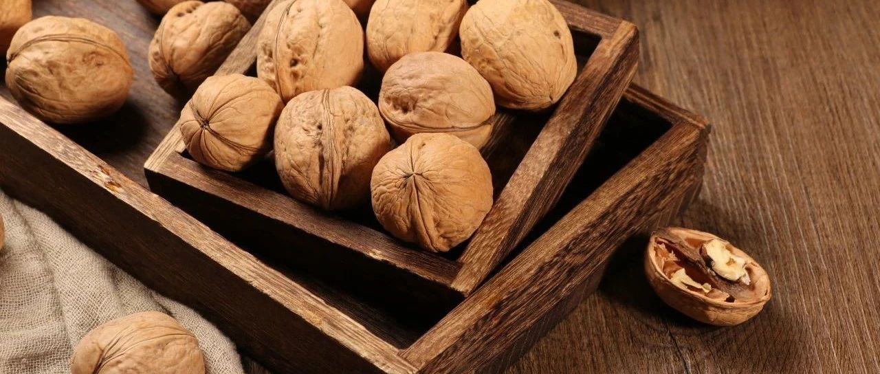 SIAL中餐廳今日正式開賽！感受傳統魅力，品味中餐經典！