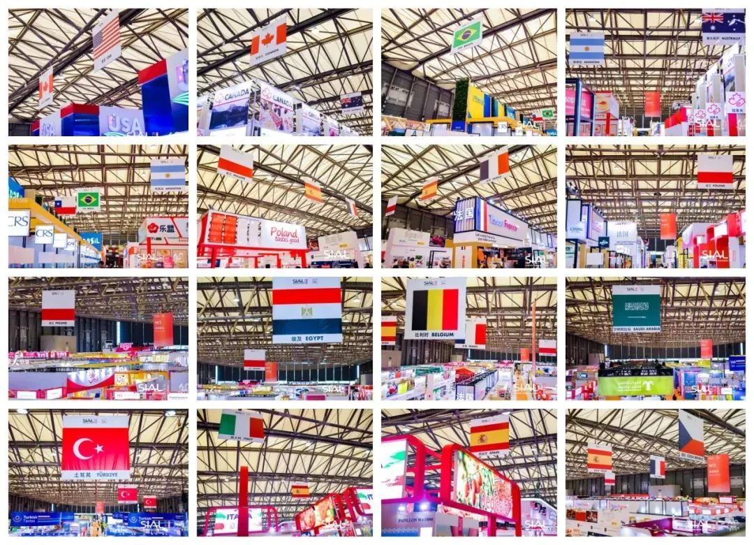 國內32個省市區域政府團組大放異彩