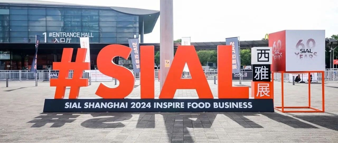 以品牌價值之錨撬動品牌增長